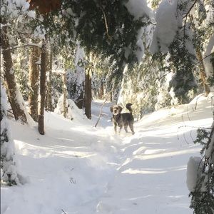 Meet your Posher, Victoria